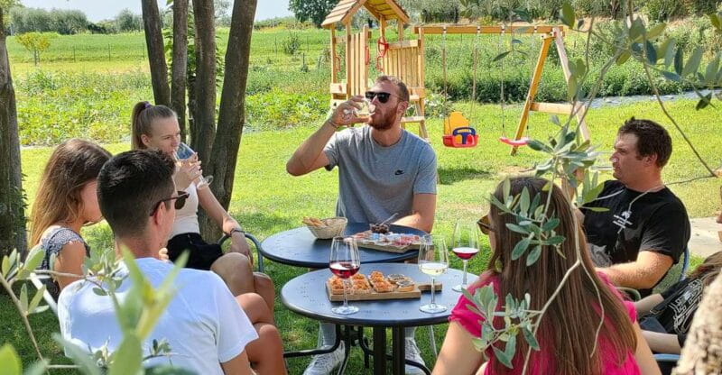 Lazise: Wine Tasting with Charcuterie and Cheese Board - A Taste of Lazise’s Countryside: Authentic Wine and Food Experience