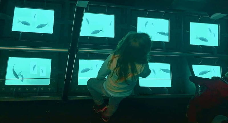 Le grand tour en bateau avec vision sous-marine et baignade - A Water-Based Adventure in Corsica’s Valinco Bay