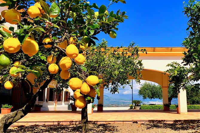 Leave the City Behind Tour with Guide Driver starts from Palermo - Key Points / Takeaways