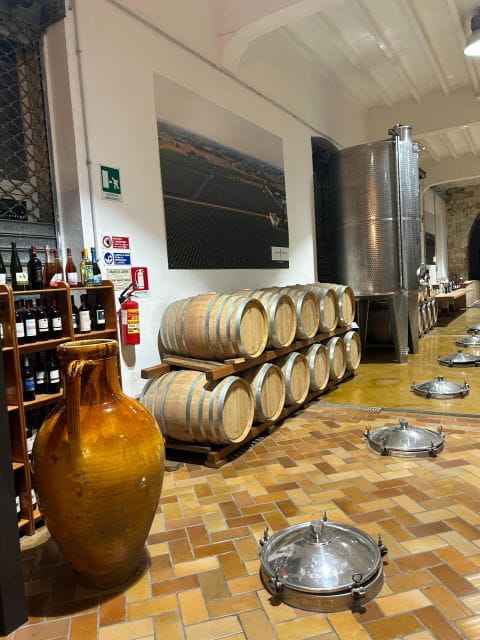 Lecce: E-Bike Tour to Galatina with Olive Mill & Wine taste - Starting Point: Inside Lecces Old Town