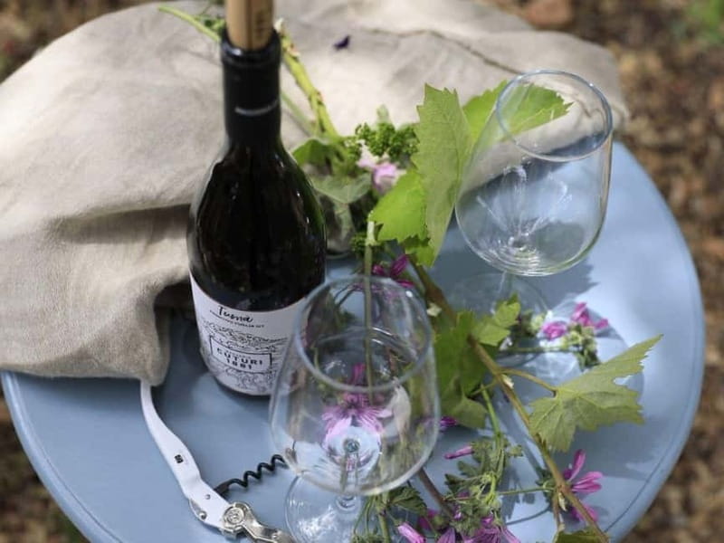 Lecce: Taranto and Manduria Winery Tour with Wine Tasting - Exploring Apulia: A Day Trip to Taranto and Manduria with Wine Tasting