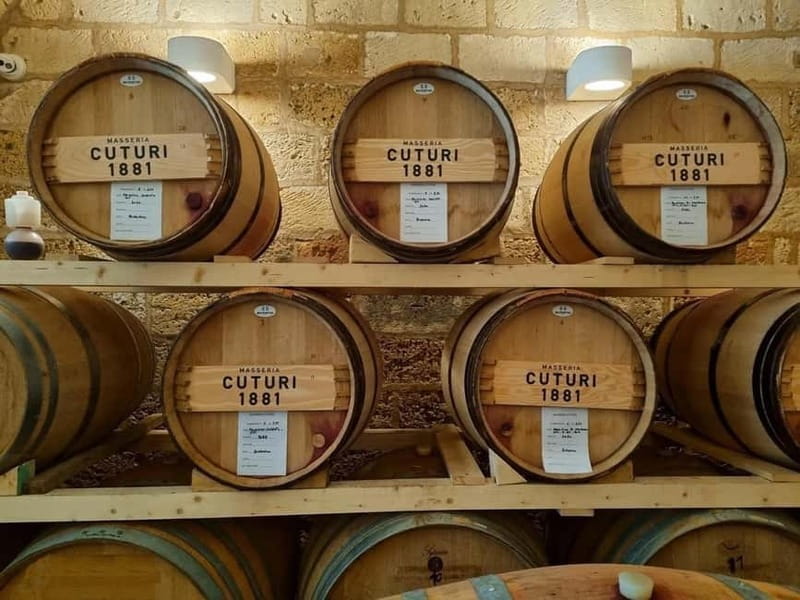 Lecce: Taranto and Manduria Winery Tour with Wine Tasting - Price and Logistics