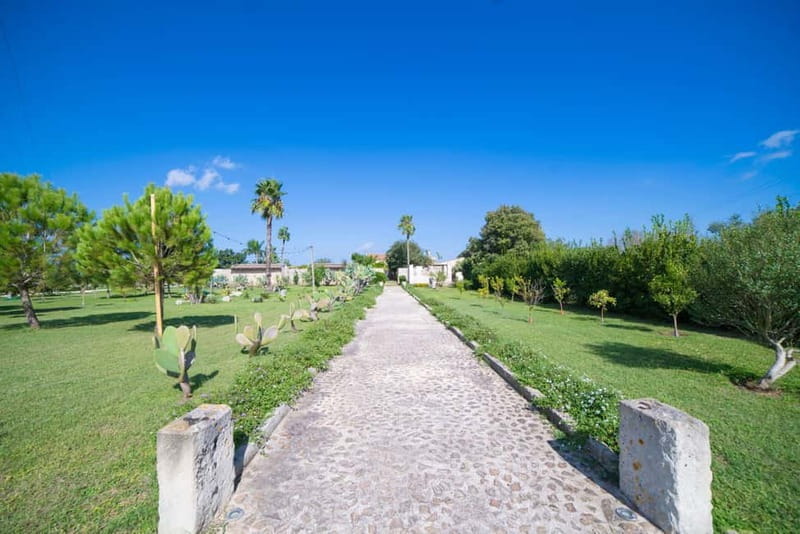 Lecce: Traditional Pasta Cooking Class with Wine - The Meal, Atmosphere, and Authenticity