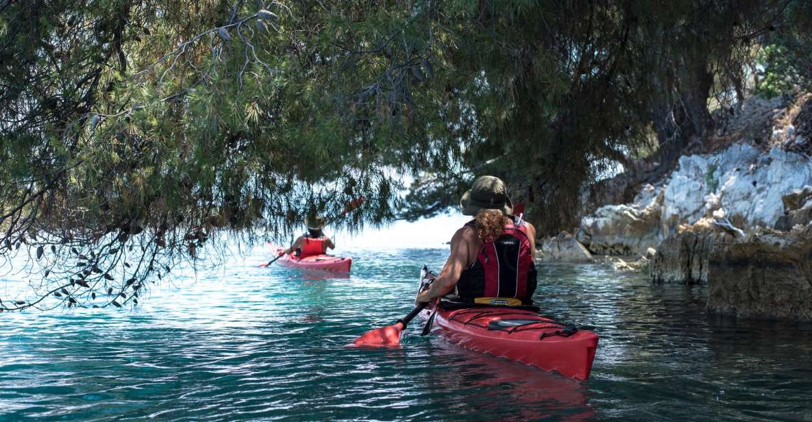 Lefkada: Full Day Sea Kayaking Tour - Customer Feedback