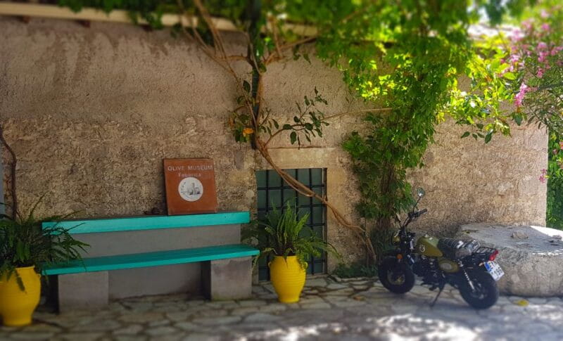 Lefkada: Olive Museum Fabbrica Ticket and Guided Tour - Key Points / Takeaways