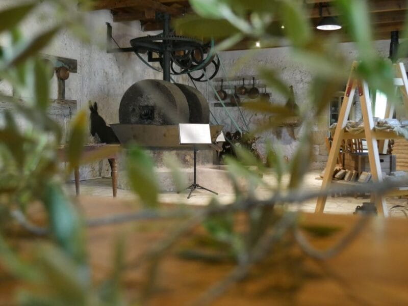 Lefkada: Olive Museum Fabbrica Ticket and Guided Tour - Practical Tips for Visiting