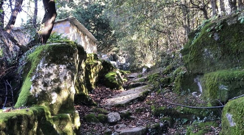 Lefkada: Path of Springs Hike with Olive Oil Tasting - Discovering Lefkada’s Springs and Olive Treasures