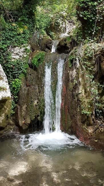 Lefkada: Path of Springs Hike with Olive Oil Tasting - Who This Tour Is Best For