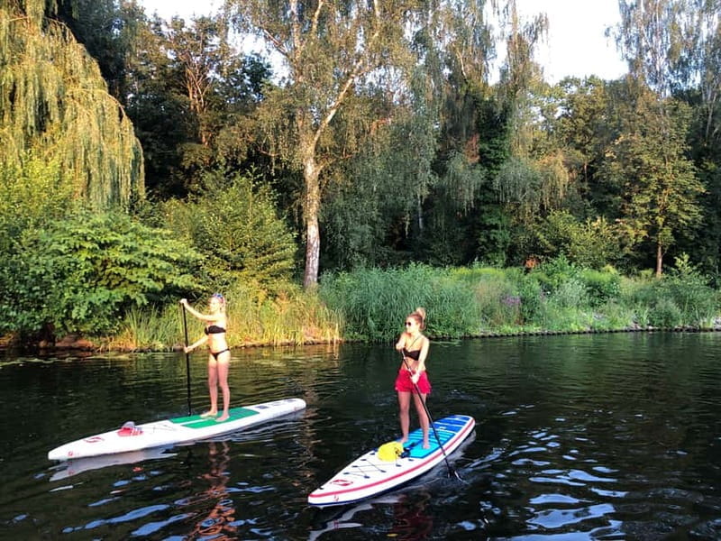 Leipzig: Cospudener Lake Stand-Up Paddleboard Course - Discovering Leipzig’s Waterway Jewel: Cospudener Lake SUP Course