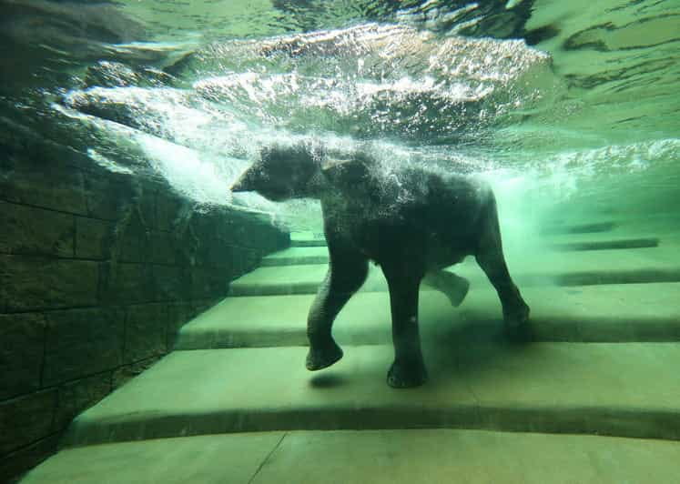 Leipzig Zoo: Entry Ticket - Key Points/Takeaways