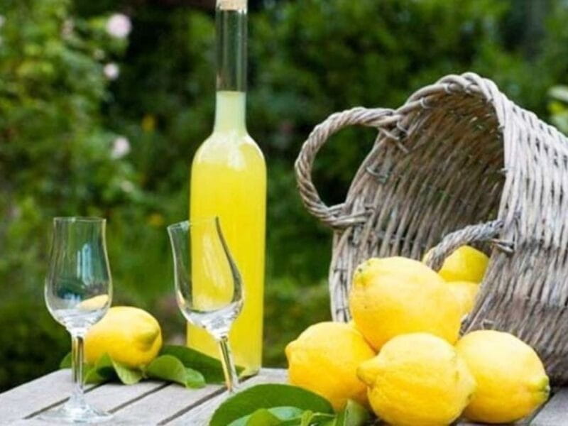 Lemon Experience with Limoncello demonstration - Who Will Love This Experience?