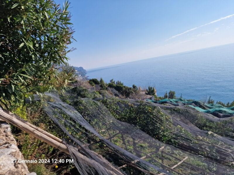 Lemon Path - Amalfi coast - Why This Tour Stands Out
