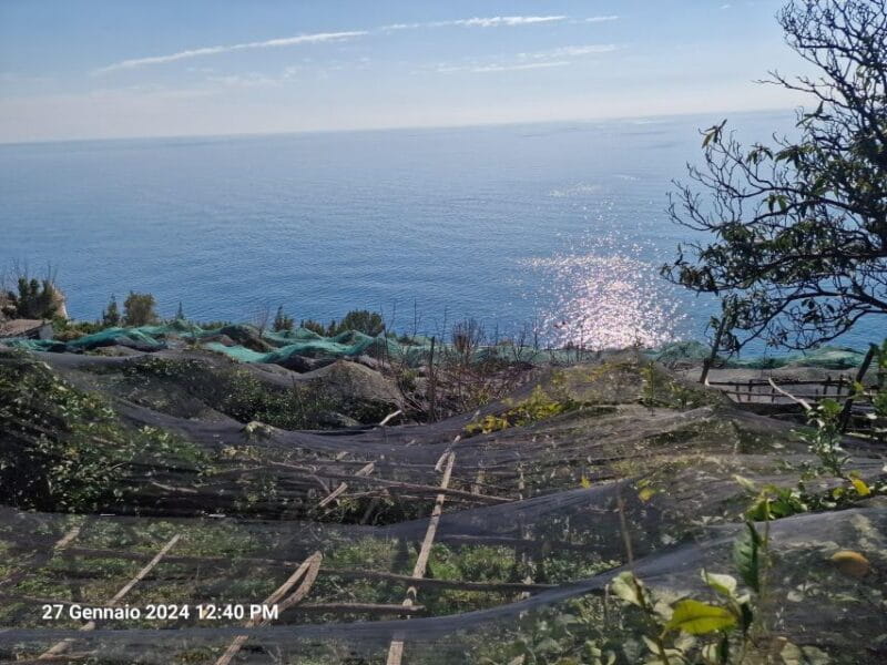 Lemon Path - Amalfi coast - FAQ