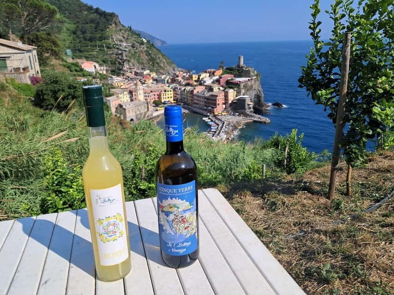 Lemon tour with limoncino tasting in Vernazza (Cinque Terre) - What’s Included and What to Expect
