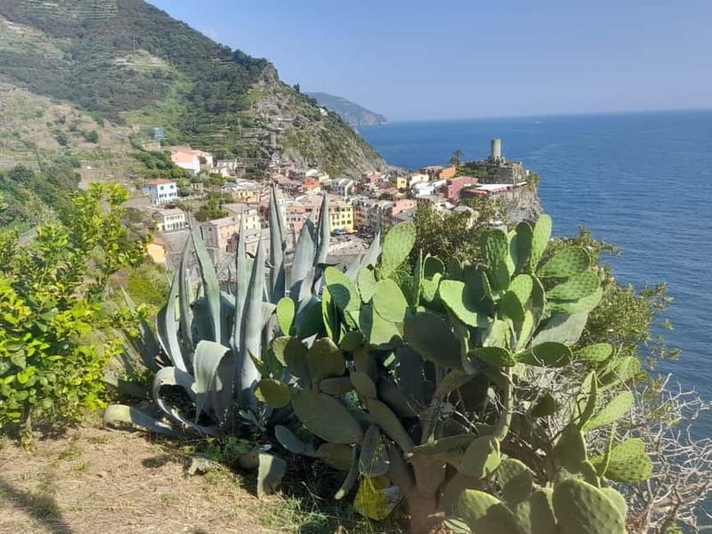 Lemon tour with limoncino tasting in Vernazza (Cinque Terre) - Price and Logistics: Good Value for a Short Tour