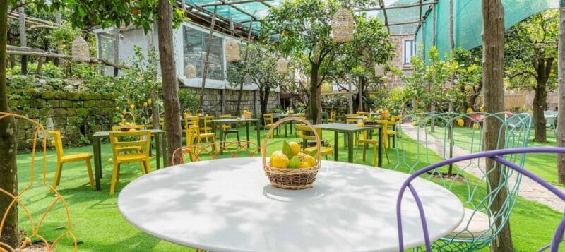 Lemon Tour with Lunch/Dinner - Key Points / Takeaways