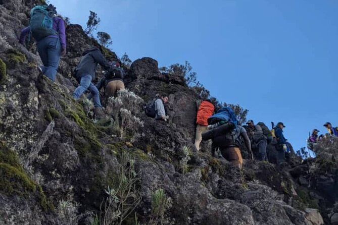 Lemosho Route 8 Days Kilimanjaro Climbing Tour - Transportation Options