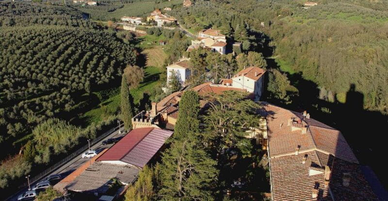 Leonardo da Vinci's Homeland Private Excursion from Florence - Price and Value