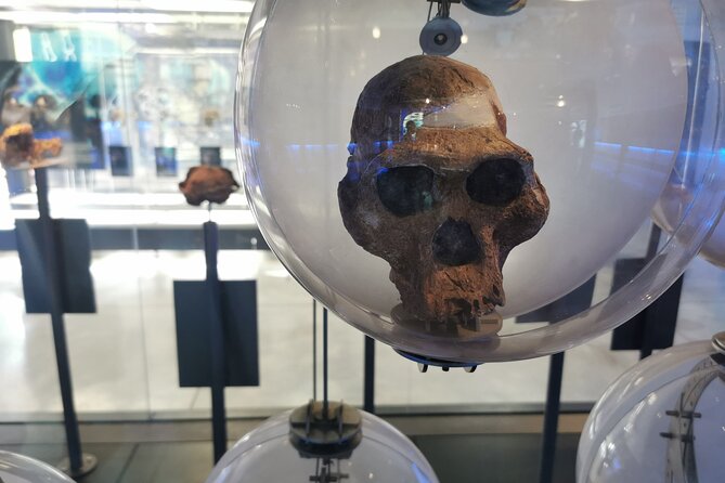 Lesedi Cultural Village and Cradle of Humankind Tour - Traveler Reviews and Ratings