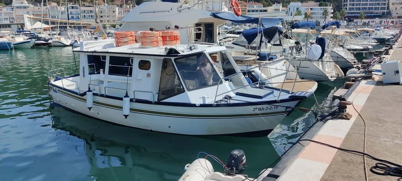 L'Estartit: Boat Trip to Les Illes Medes and the caves - Key Points / Takeaways