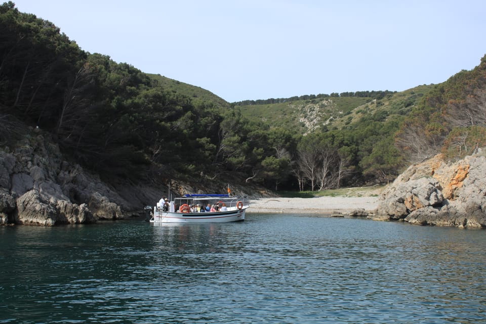 LEstartit: Boat Trip to the Medes Islands and the NP Caves - Key Points