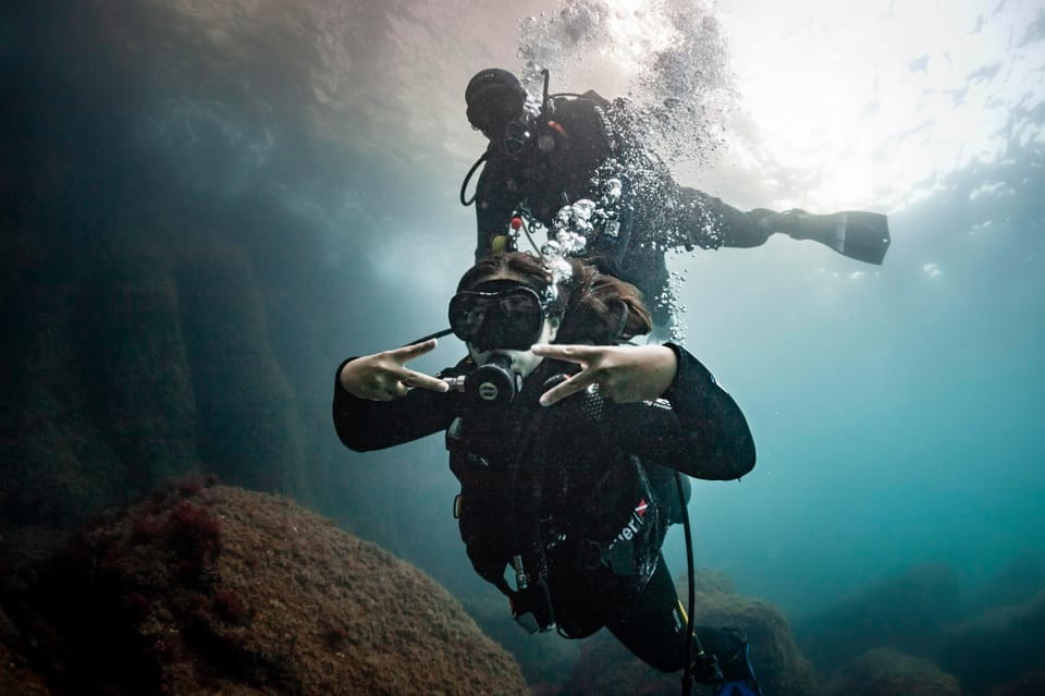 LEstartit: Dive and Snorkeling in Montgrí Natural Park - Key Points