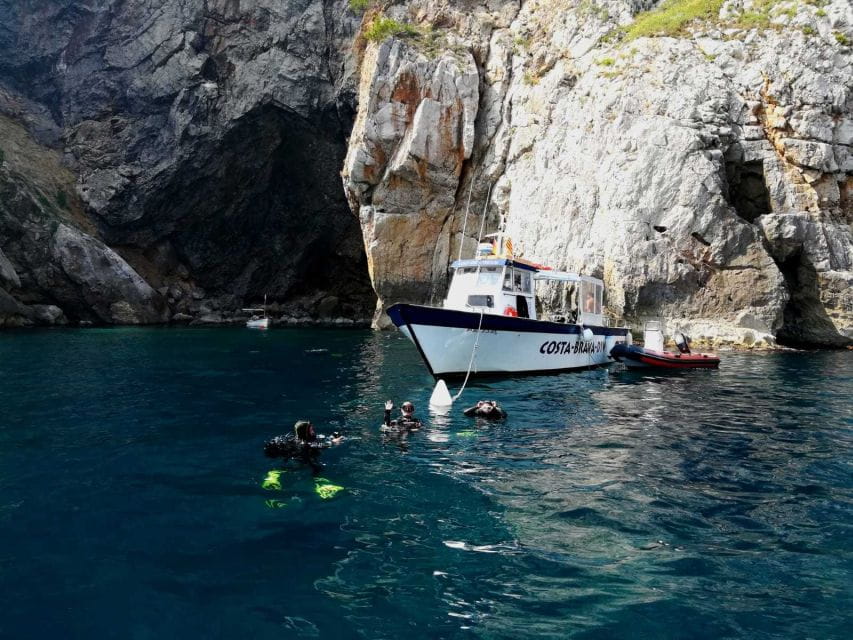 LEstartit: Dive and Snorkeling in Montgrí Natural Park - Participant Requirements
