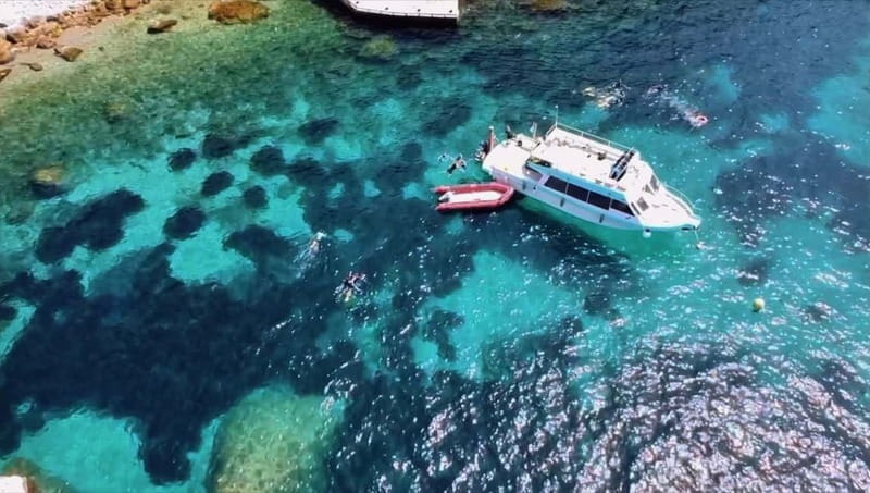 L'Estartit: Medes Islands Cruise with Guided Snorkeling - Key points / Takeaways