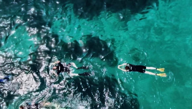 L'Estartit: Medes Islands Cruise with Guided Snorkeling - Price and Value