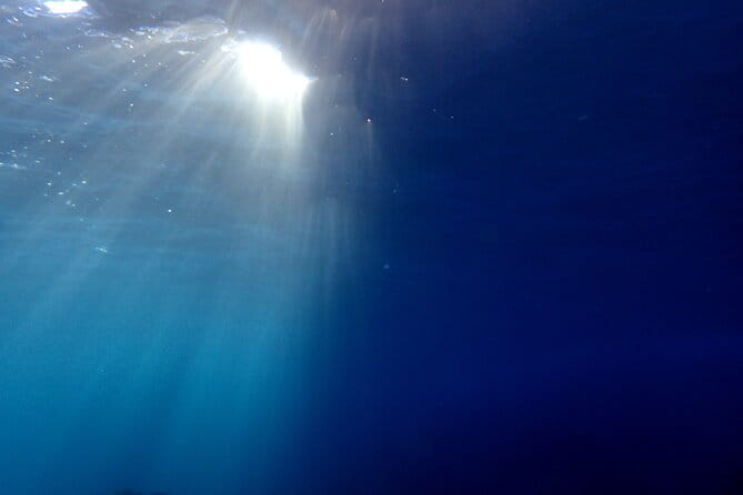 Lets Enjoy Scuba Diving in Izu Oceanic Park Izu Peninsula for Certificate Diver - Cancellation Policy and Accessibility