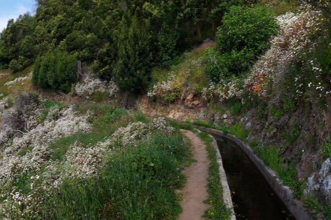 Levada do Norte Quinta Grande Levada walk - Why You’ll Love This Levada Experience