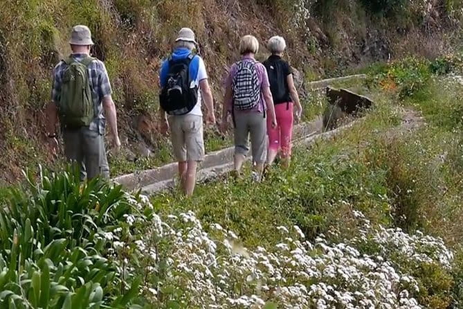 Levada do Norte Quinta Grande Levada walk - The Itinerary Breakdown: What to Expect