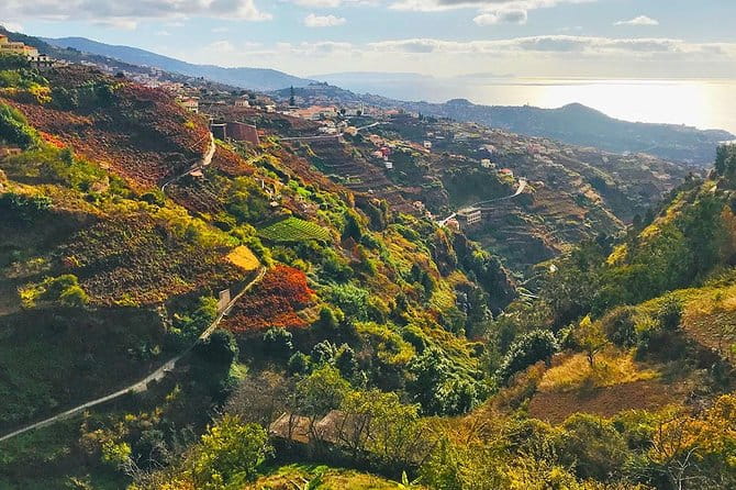 Levada do Norte - Walking Tour - Starting the Day with Ease: The Pickup and Logistics