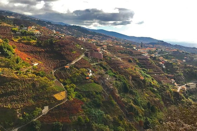 Levada do Norte - Walking Tour - The Walk: What to Expect