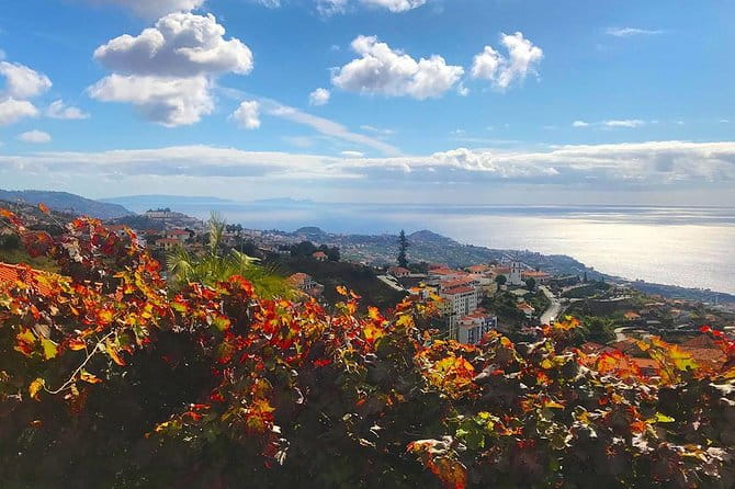 Levada do Norte - Walking Tour - Price and Value: Is It Worth It?