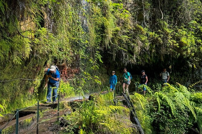 Levada do Rei (PR18) - Through Madeira's Majestic Laurissilva - Arriving at Madeira’s Laurissilva Forest: The Heart of the Hike
