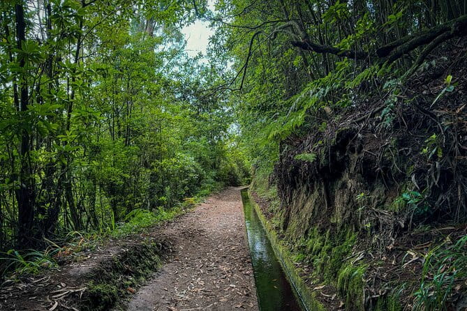 Levada do Rei (PR18) - Through Madeira's Majestic Laurissilva - Who Will Love This Tour?