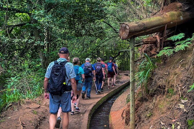 Levada do Rei (PR18) - Through Madeira's Majestic Laurissilva - Final Thoughts on Value and Experience