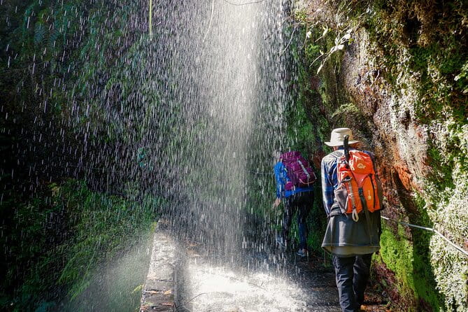 Levada do Rei (PR18) - Through Madeira's Majestic Laurissilva - FAQ