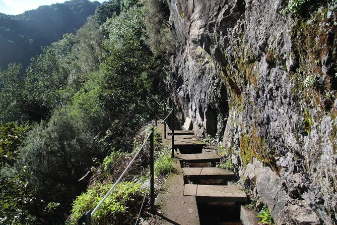 Levada do Rei - Ribeiro Bonito (Full Day Walk) - Exploring Madeira’s UNESCO-Listed Forest on the Levada do Rei – Ribeiro Bonito Full-Day Walk