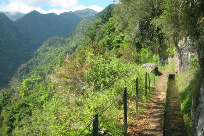 Levada do Rei - Ribeiro Bonito (Full Day Walk) - Key Points & Takeaways