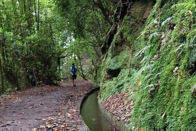 Levada do Rei - Ribeiro Bonito (Full Day Walk) - What Makes This Tour Special