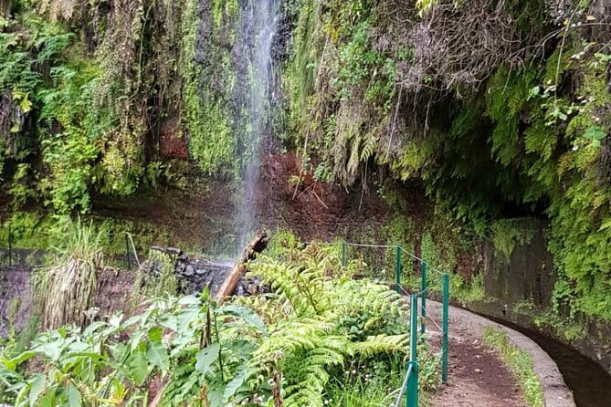 Levada do Rei - Ribeiro Bonito (Full Day Walk) - FAQs