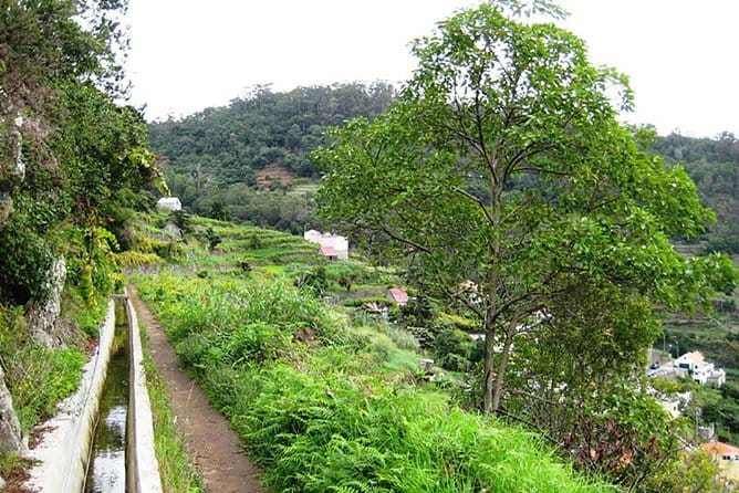 Levada dos Maroços - Key points / Takeaways