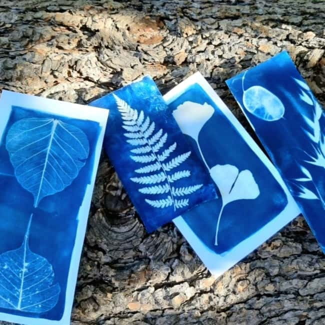 Levanto: Hiking Tour with Creative Workshop! - The Charm of Bonassola and the Madonnina della Punta