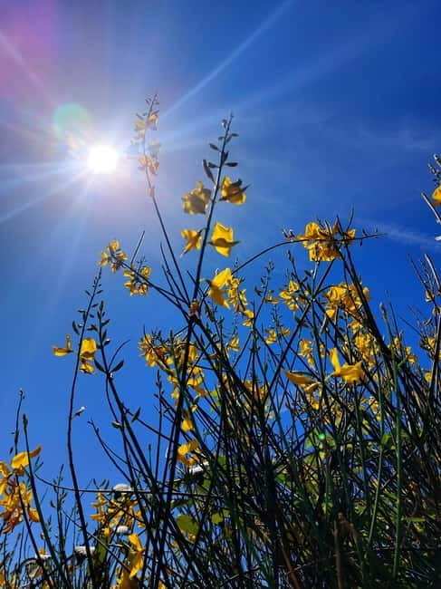 Levanto: Hiking Tour with Creative Workshop! - Practicalities and Value