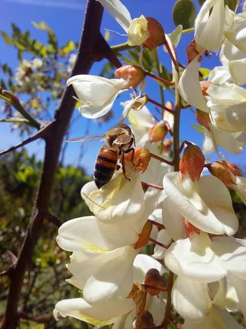 Levanto: Hiking Tour with Creative Workshop! - Who Will Love This Tour?