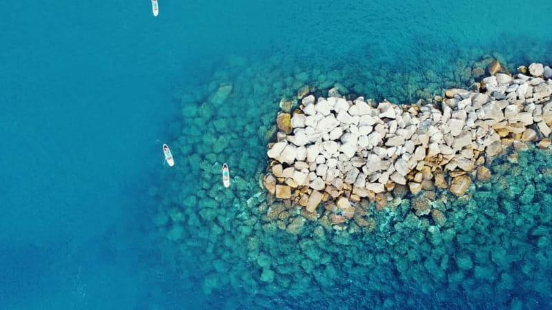 Levanto: Paddleboard Tours and snorkeling along the coast - Practical Details: Price, Logistics, and Who Will Love It