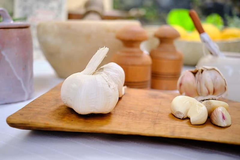 Levanto: Pansotti Pasta and Lemon Ricotta Cooking Class - Key points / Takeaways