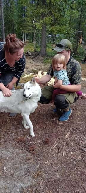 Levi: 2 KM Husky Summer Sledding with wheels - Key Points/Takeaways